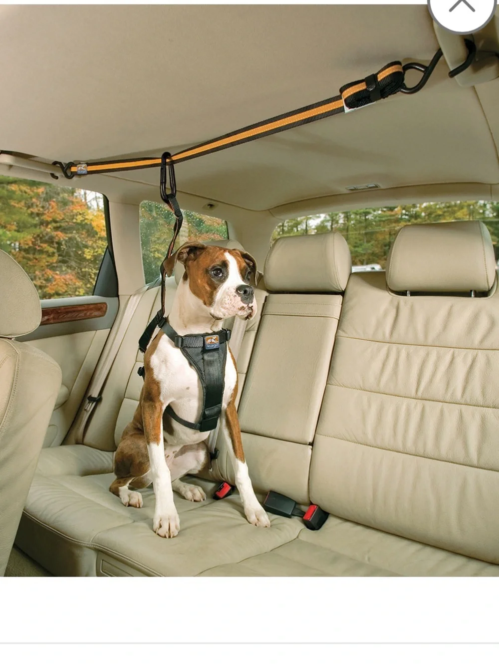 NIB Kurgo Auto Zip Line for Dogs